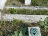 image of grave number 206643